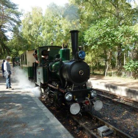 Le train en gare de Rillé